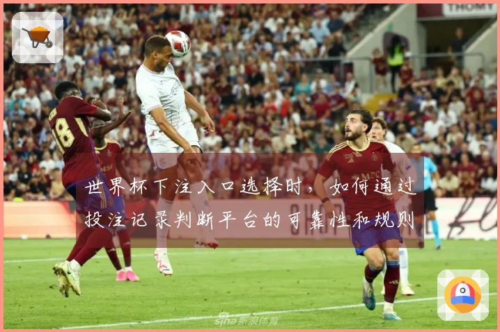 世界杯下注入口选择时，如何通过投注记录判断平台的可靠性和规则？
