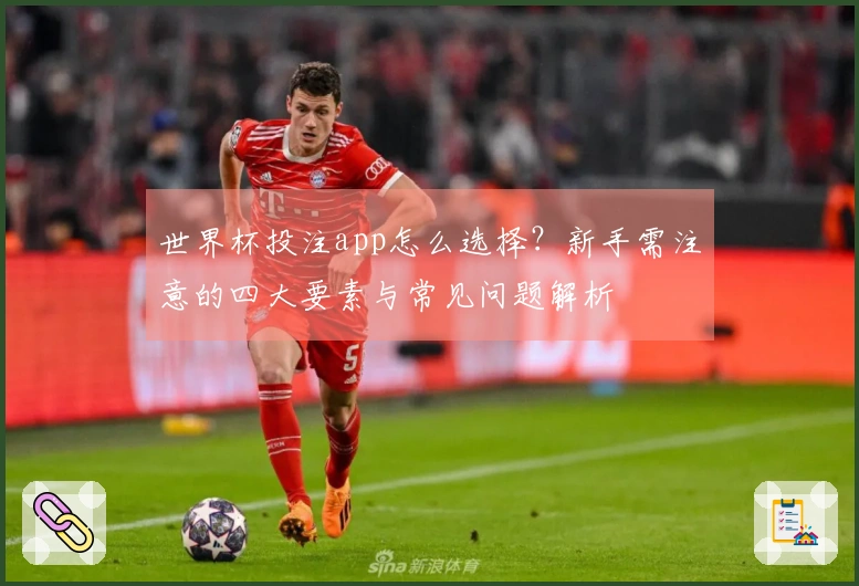 世界杯投注app怎么选择？新手需注意的四大要素与常见问题解析