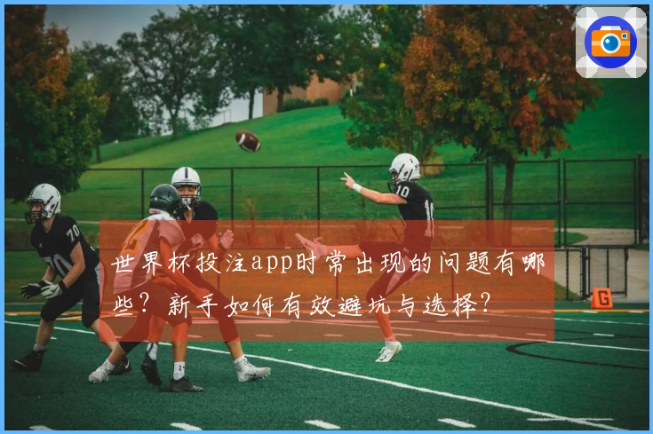 世界杯投注app时常出现的问题有哪些？新手如何有效避坑与选择？