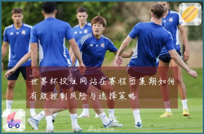 世界杯投注网站在赛程密集期如何有效控制风险与选择策略